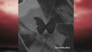 Read more about the article Pas e Parda